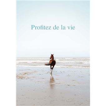 L'Ame délivrée