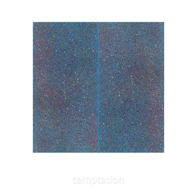 Temptation The 12 Singles Collection Edition Limitée