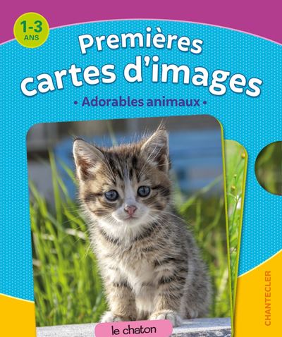 Premieres cartes d'images adorables animaux 1-3 ans
