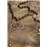 Conjuring : Coffret Trilogie [DVD]
