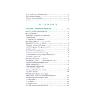 Le grand livre de la détox émotionnelle - L'indispensable au mieux-être