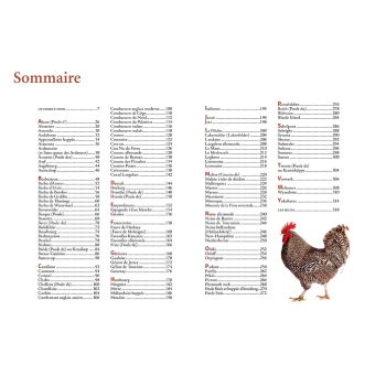 Guide des races de poules - 130 races françaises & étrangères