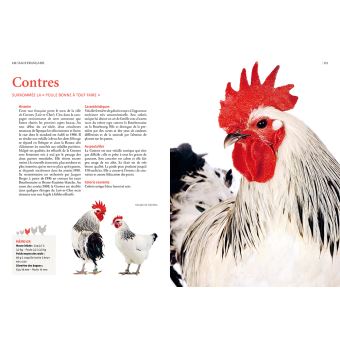 Guide des races de poules - 130 races françaises & étrangères