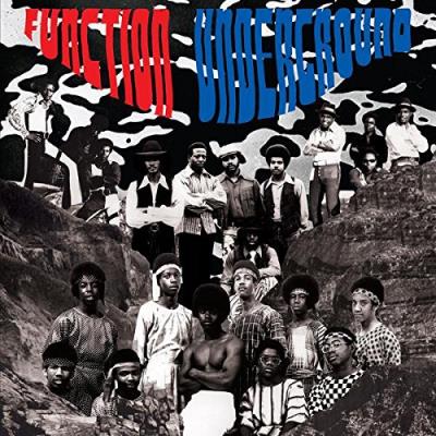 Function underground the black and brown american rock sound