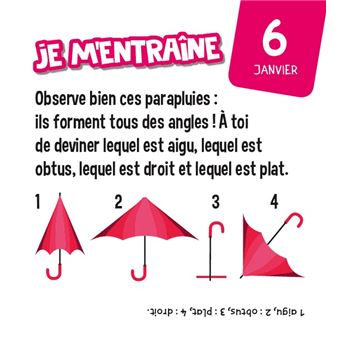 Les incollables - Mini calendrier - Toute mon année de CM2