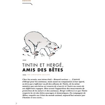 Tintin - C'est l'aventure 11