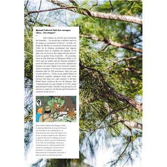 Tintin - C'est l'aventure 11