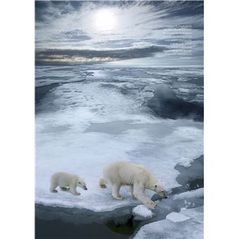 Tintin - C'est l'aventure 11