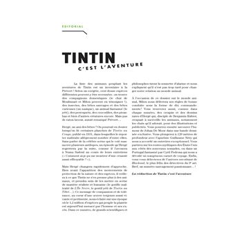 Tintin - C'est l'aventure 11
