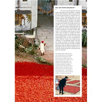 Tintin - C'est l'aventure 11