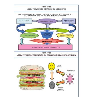 Les mind maps et les schemacolors sdhea