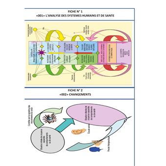 Les mind maps et les schemacolors sdhea