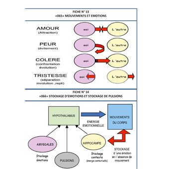 Les mind maps et les schemacolors sdhea