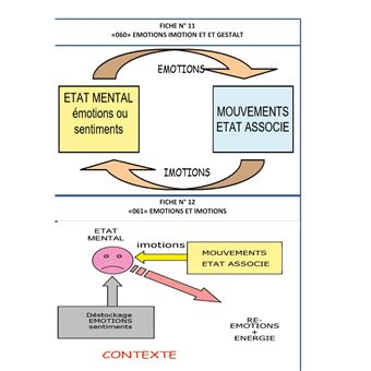 Les mind maps et les schemacolors sdhea