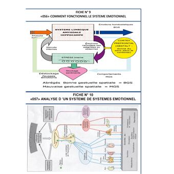 Les mind maps et les schemacolors sdhea