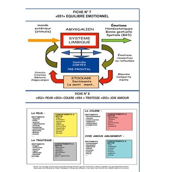 Les mind maps et les schemacolors sdhea