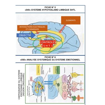 Les mind maps et les schemacolors sdhea
