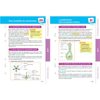Fiches bac Mes 2 spécialités Tle générale : Physique-chimie, SVT & Grand Oral - Bac 2024