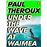 Under the wave at waimea