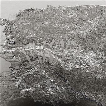 Chrome Édition Limitée Vinyle Transparent - Ziak - Vinyle album - Achat & prix | fnac