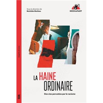 La Haine ordinaire. Des vies percutées par le racisme