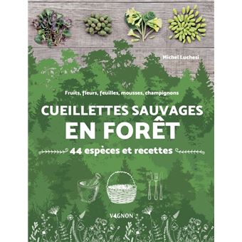 Cueillettes sauvages en forêt - 44 espèces et recettes