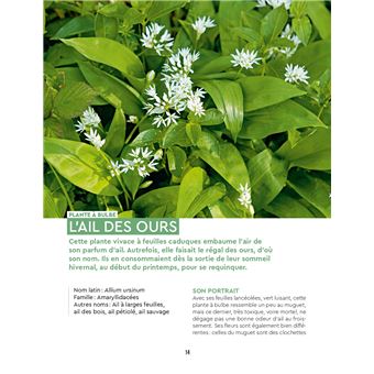 Cueillettes sauvages en forêt - 44 espèces et recettes