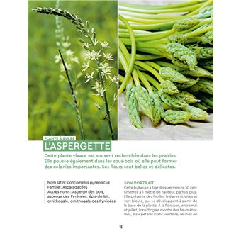 Cueillettes sauvages en forêt - 44 espèces et recettes