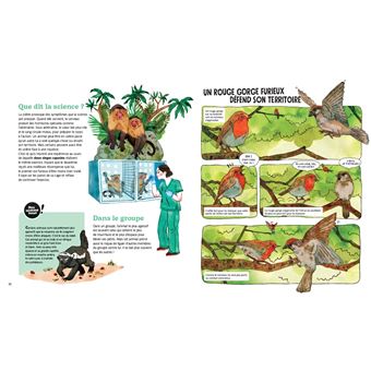 Les émotions des animaux