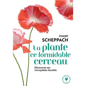 La plante ce formidable cerveau