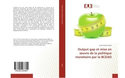 Output gap et mise en oeuvre de la politique monetaire par l