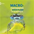 Macrophotographie & gros plans en numérique