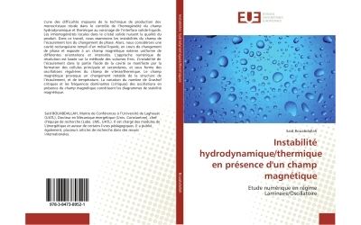 Instabilite hydrodynamique/thermique en presence d'un champ