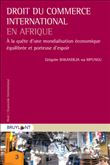 Droit du commerce international en Afrique