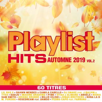 Playlist Hits Automne 19 Volume 2 Shawn Mendes Dj Snake Cd Album Achat Prix Fnac