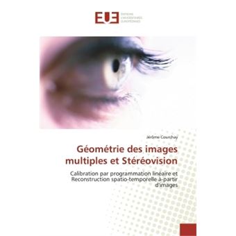 Géométrie Des Images Multiples Et Stéréovision - Broché - Courchay-J ...