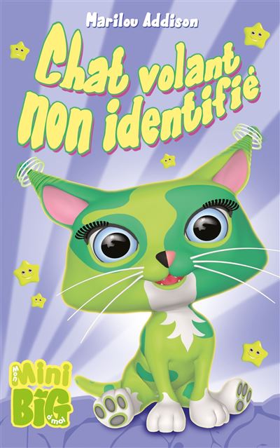 Chat volant non identifie