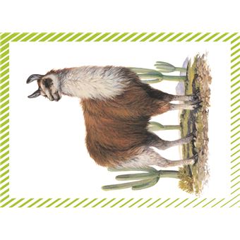 Les animaux du monde