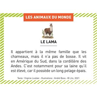 Les animaux du monde