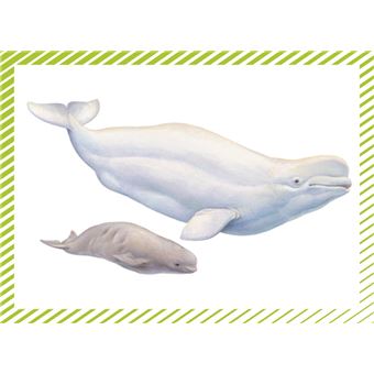 Les animaux du monde