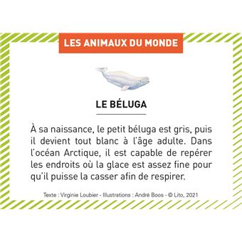 Les animaux du monde