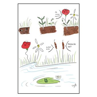 Coquelicot et Marguerite, belles du lac