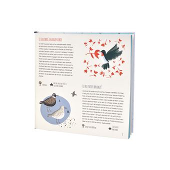 Les grands voyageurs