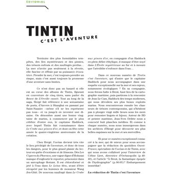 Tintin - C'est l'aventure 10