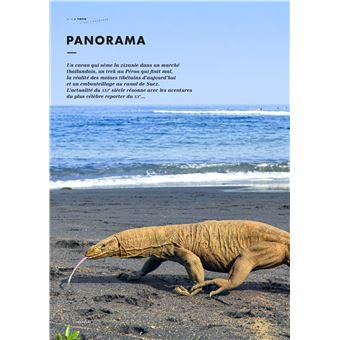 Tintin - C'est l'aventure 10