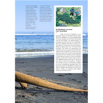 Tintin - C'est l'aventure 10