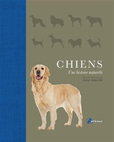 Chiens