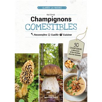Champignons comestibles