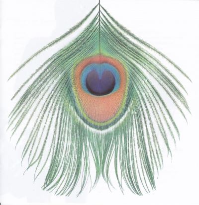 Apple Venus Volume 1
