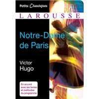 Notre-Dame de Paris - Poche - Victor Hugo, Marieke Stein, Livre tous les  livres à la Fnac